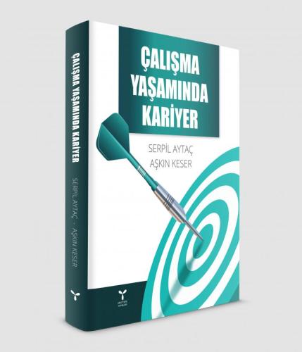 ÇALIŞMA YAŞAMINDA KARİYER